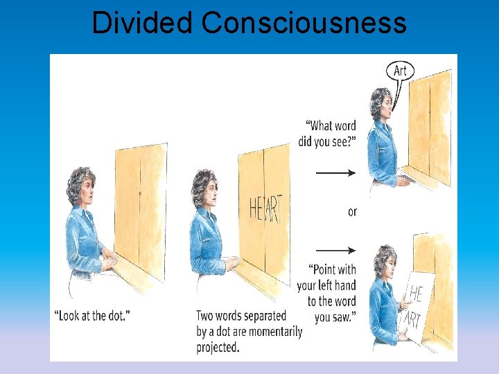 Divided Consciousness 29 