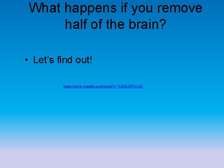 What happens if you remove half of the brain? • Let’s find out! 