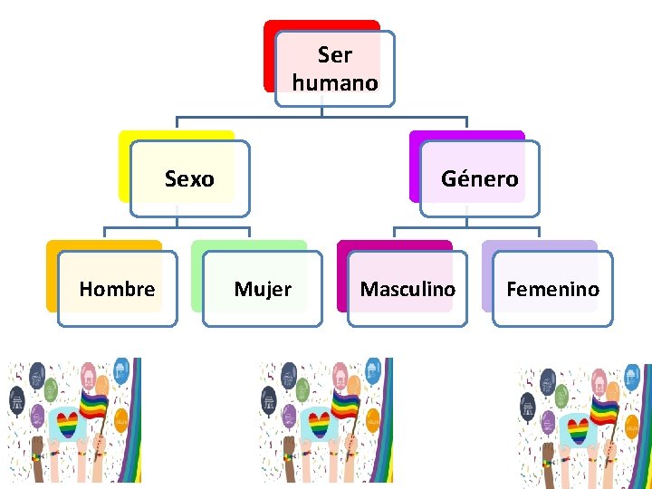 Ser humano Sexo Hombre Género Mujer Masculino Femenino 
