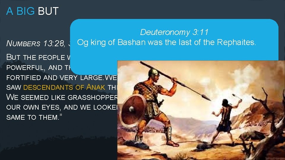 A BIG BUT Deuteronomy 3: 11 NUMBERS 13: 28, 33 Og king of Bashan