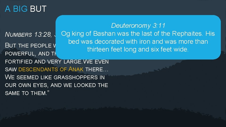 A BIG BUT Deuteronomy 3: 11 NUMBERS 13: 28, 33 Og king of Bashan