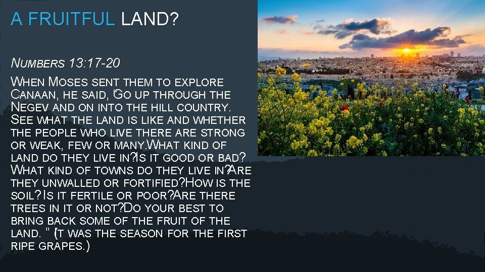 A FRUITFUL LAND? NUMBERS 13: 17 -20 WHEN MOSES SENT THEM TO EXPLORE CANAAN,