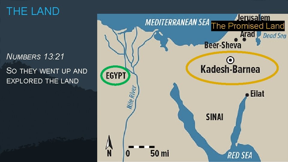 THE LAND The Promised Land NUMBERS 13: 21 SO THEY WENT UP AND EXPLORED