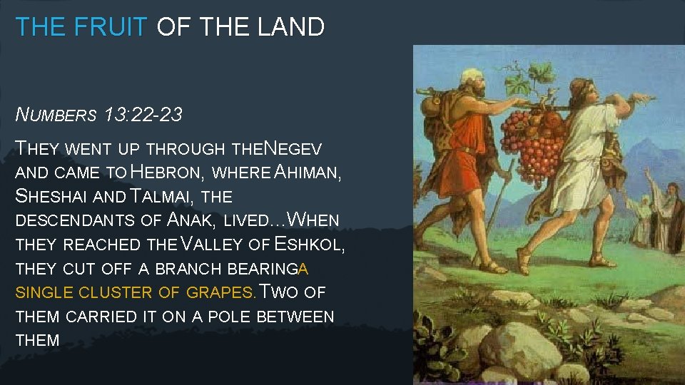 THE FRUIT OF THE LAND NUMBERS 13: 22 -23 THEY WENT UP THROUGH THENEGEV