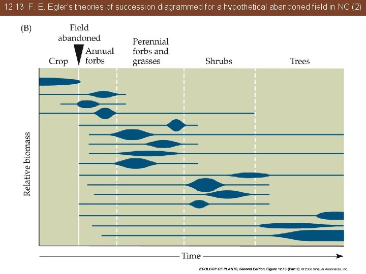 12. 13 F. E. Egler’s theories of succession diagrammed for a hypothetical abandoned field