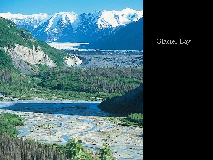 Glacier Bay 