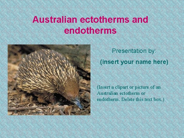 Australian ectotherms and endotherms Presentation by: (insert your name here) (Insert a clipart or
