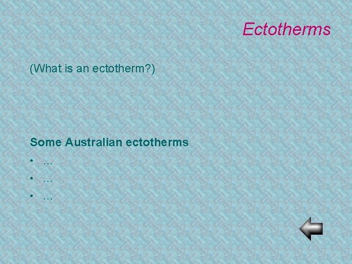 Ectotherms (What is an ectotherm? ) Some Australian ectotherms • … • … 
