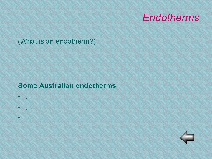 Endotherms (What is an endotherm? ) Some Australian endotherms • … • … 