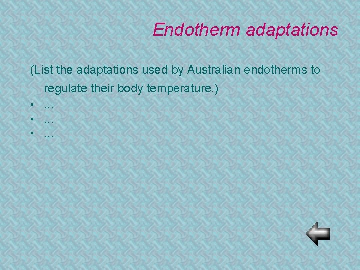 Endotherm adaptations (List the adaptations used by Australian endotherms to regulate their body temperature.