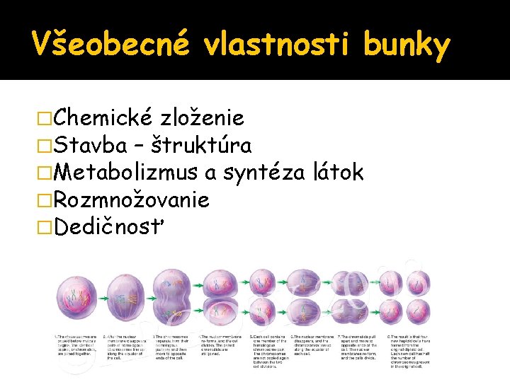 Všeobecné vlastnosti bunky �Chemické zloženie �Stavba – štruktúra �Metabolizmus a syntéza �Rozmnožovanie �Dedičnosť látok