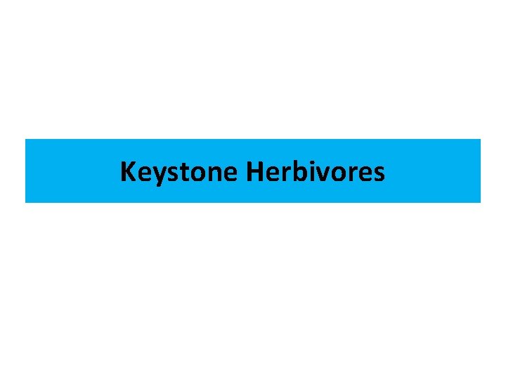 Keystone Herbivores 