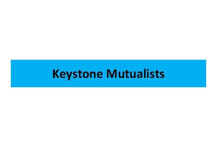 Keystone Mutualists 