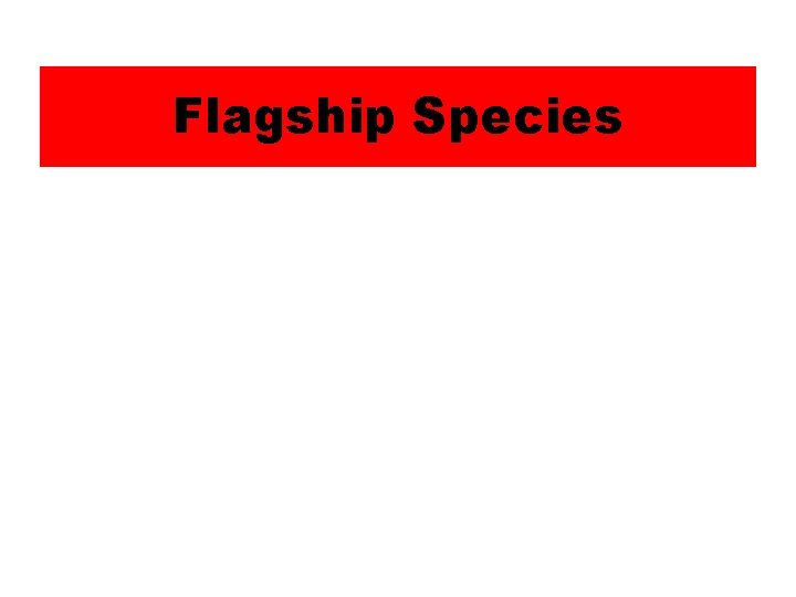 Flagship Species 