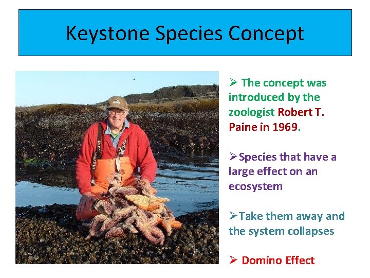 Keystone Species Concept Ø The concept was introduced by the zoologist Robert T. Paine