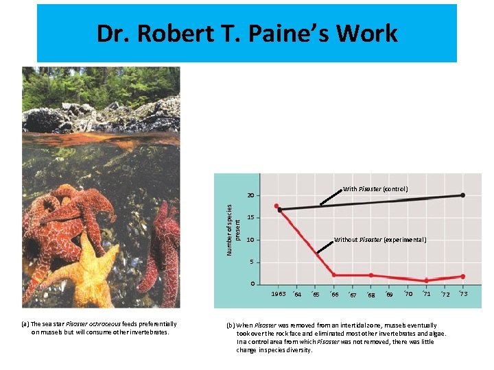 Dr. Robert T. Paine’s Work With Pisaster (control) Number of species present 20 15