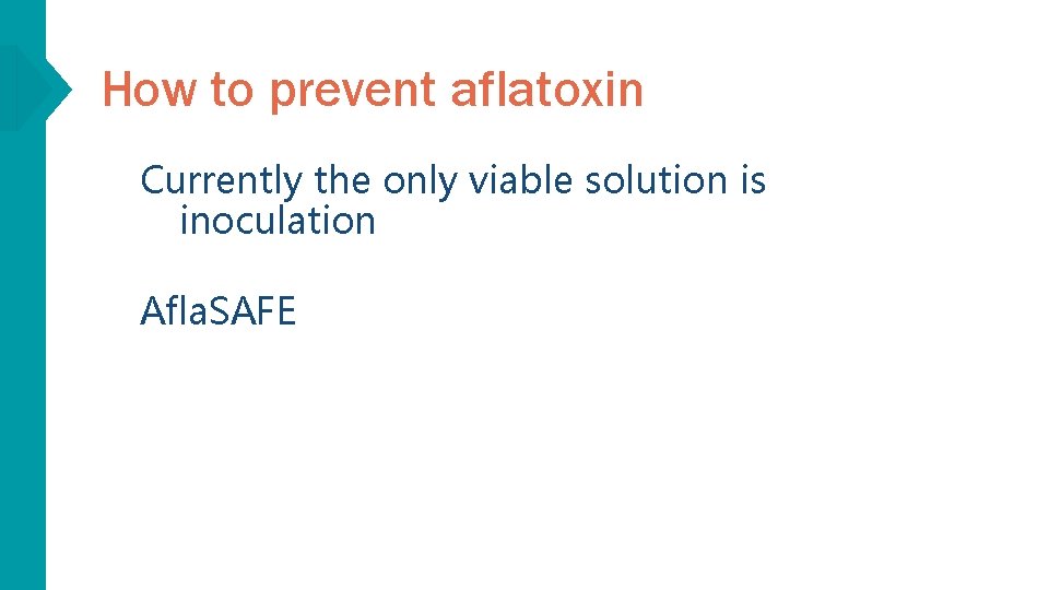 How to prevent aflatoxin Currently the only viable solution is inoculation Afla. SAFE 