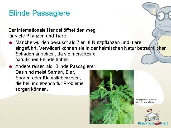 Blinde Passagiere Der internationale Handel öffnet den Weg für viele Pflanzen und Tiere. Manche