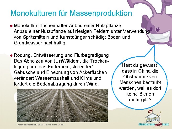 Monokulturen für Massenproduktion ● Monokultur: flächenhafter Anbau einer Nutzpflanze auf riesigen Feldern unter Verwendung