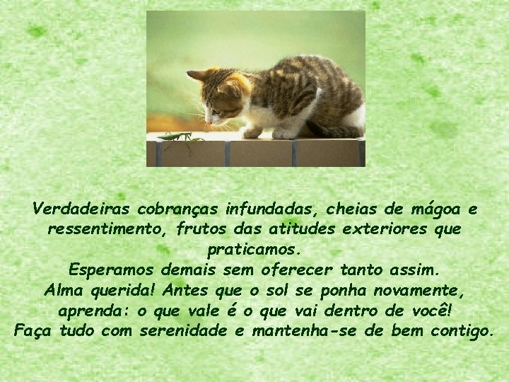 Verdadeiras cobranças infundadas, cheias de mágoa e ressentimento, frutos das atitudes exteriores que praticamos.