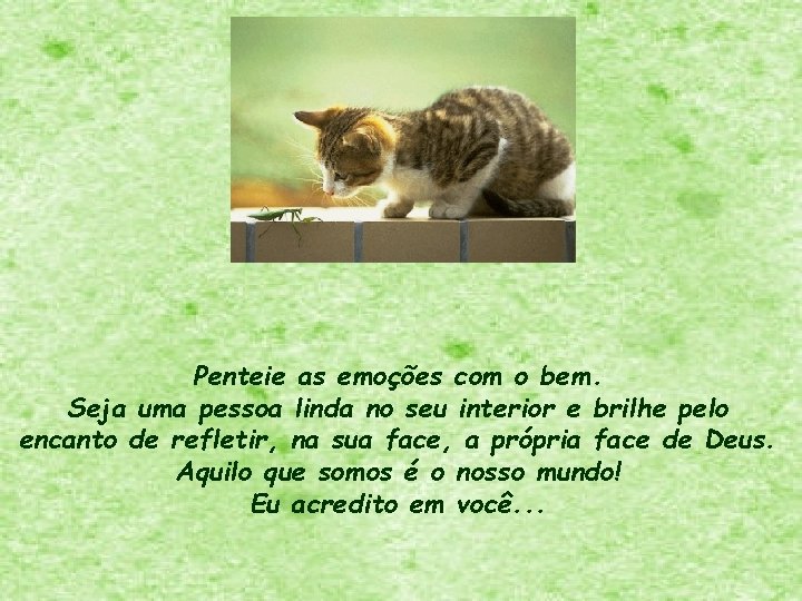 Penteie as emoções com o bem. Seja uma pessoa linda no seu interior e