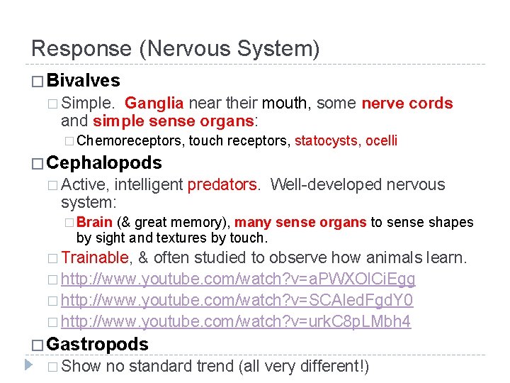 Response (Nervous System) � Bivalves � Simple. Ganglia near their mouth, some nerve cords