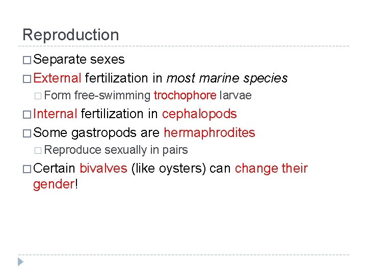 Reproduction � Separate sexes � External fertilization in most marine species � Form free-swimming