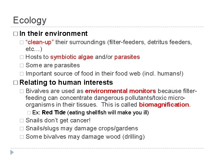 Ecology � In their environment “clean-up” their surroundings (filter-feeders, detritus feeders, etc…) � Hosts