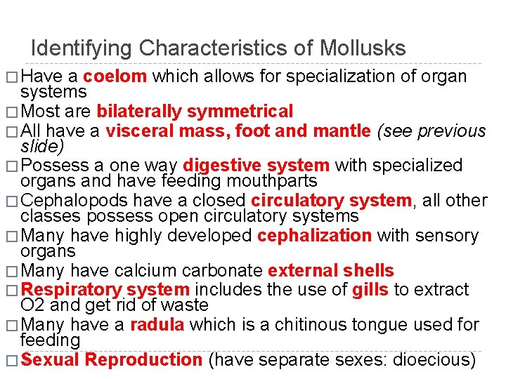 Identifying Characteristics of Mollusks � Have a coelom which allows for specialization of organ