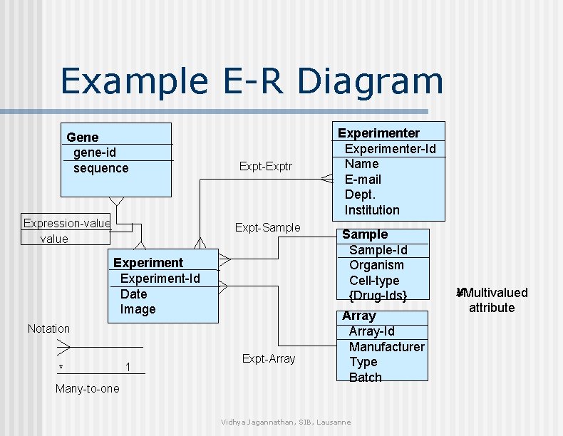 Example E-R Diagram Gene gene-id sequence Expression-value Expt-Exptr Expt-Sample Experiment-Id Date Image Notation *