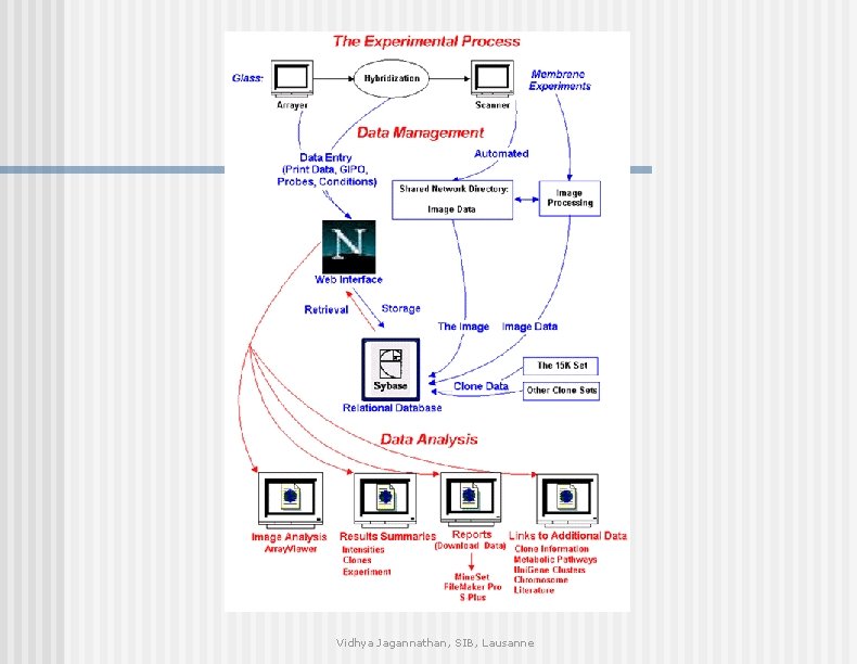 Vidhya Jagannathan, SIB, Lausanne 