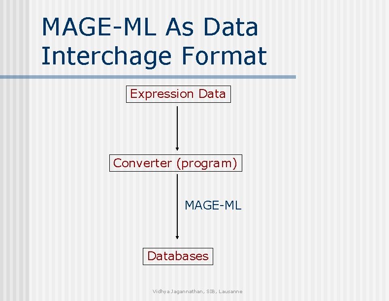 MAGE-ML As Data Interchage Format Expression Data Converter (program) MAGE-ML Databases Vidhya Jagannathan, SIB,