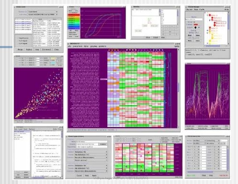 Vidhya Jagannathan, SIB, Lausanne 