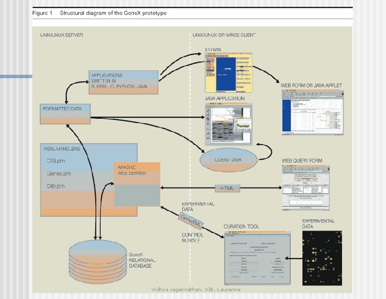 Vidhya Jagannathan, SIB, Lausanne 