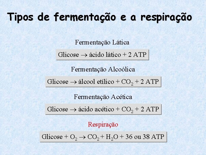 Tipos de fermentação e a respiração Fermentação Lática Glicose ácido lático + 2 ATP