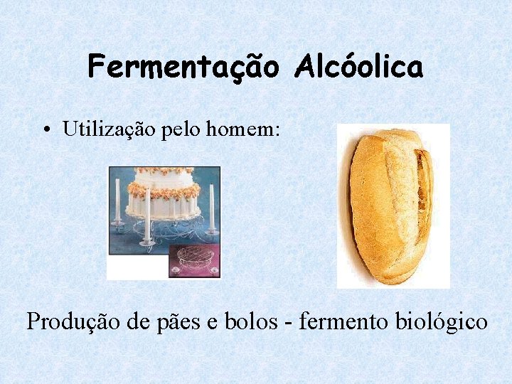 Fermentação Alcóolica • Utilização pelo homem: Produção de pães e bolos - fermento biológico