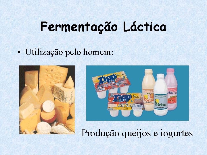 Fermentação Láctica • Utilização pelo homem: Produção queijos e iogurtes 
