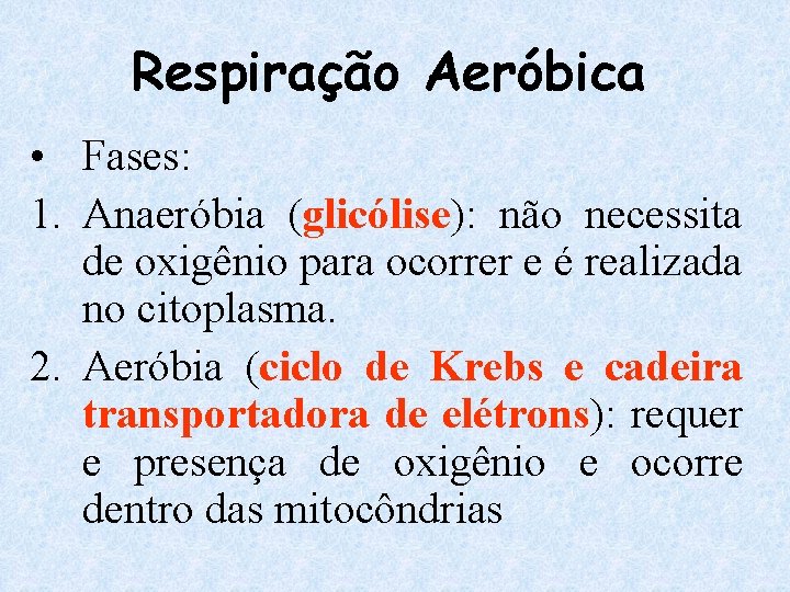 Respiração Aeróbica • Fases: 1. Anaeróbia (glicólise): não necessita de oxigênio para ocorrer e