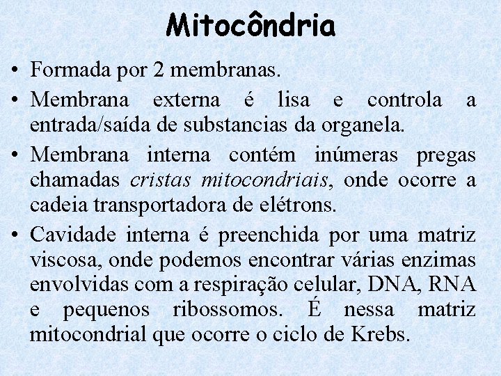 Mitocôndria • Formada por 2 membranas. • Membrana externa é lisa e controla a