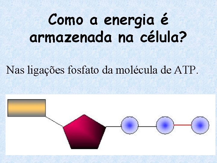 Como a energia é armazenada na célula? Nas ligações fosfato da molécula de ATP.