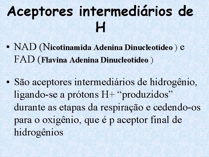 Aceptores intermediários de H • NAD (Nicotinamida Adenina Dinucleotídeo ) e FAD (Flavina Adenina