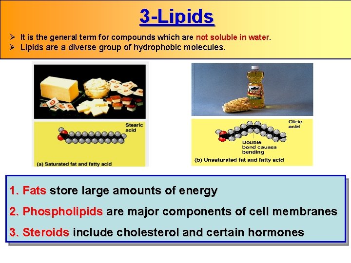 3 -Lipids Ø It is the general term for compounds which are not soluble