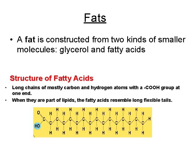 Fats • A fat is constructed from two kinds of smaller molecules: glycerol and