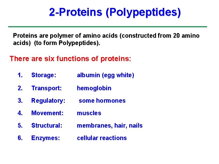 2 -Proteins (Polypeptides) Proteins are polymer of amino acids (constructed from 20 amino acids)