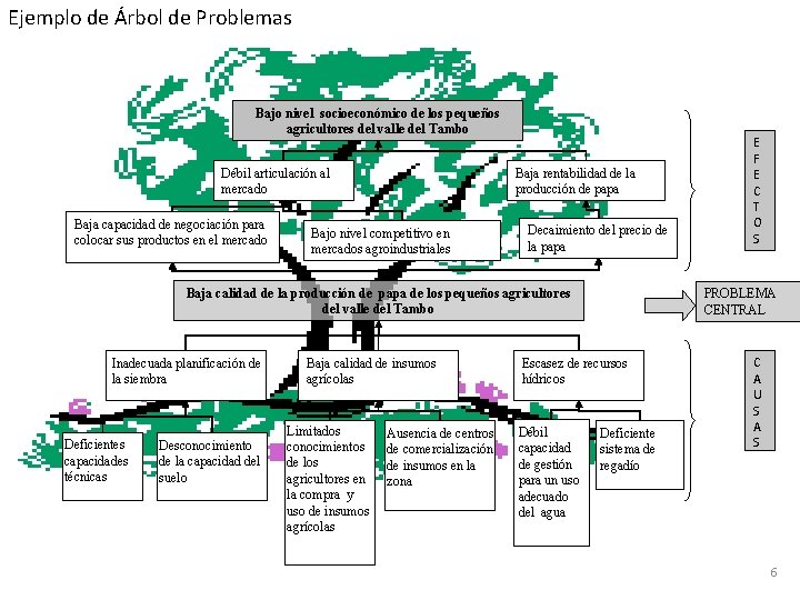 Ejemplo de Árbol de Problemas Bajo nivel socioeconómico de los pequeños agricultores del valle