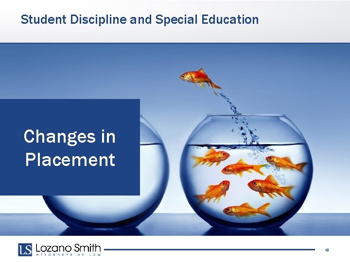 Student Discipline and Special Education Changes in Placement 18 