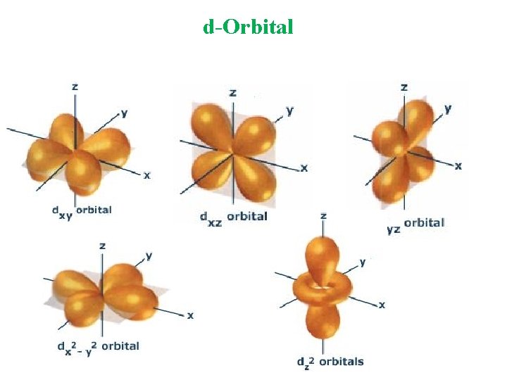 d-Orbital d-Orbital