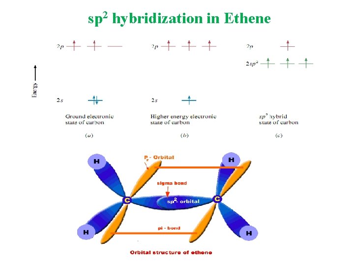 sp 2 hybridization in Ethene sp 2 hybridization in Ethene