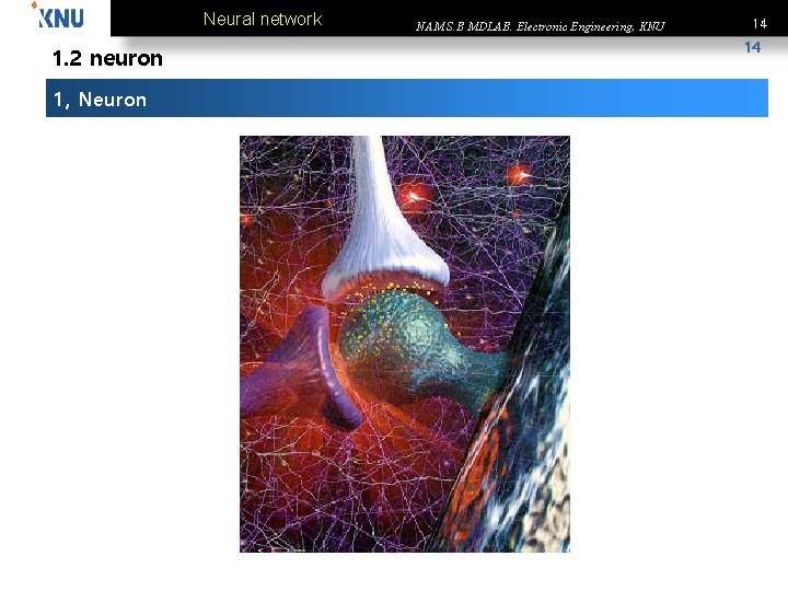 Neural network 1. 2 neuron 1, Neuron NAM S. B MDLAB. Electronic Engineering, KNU