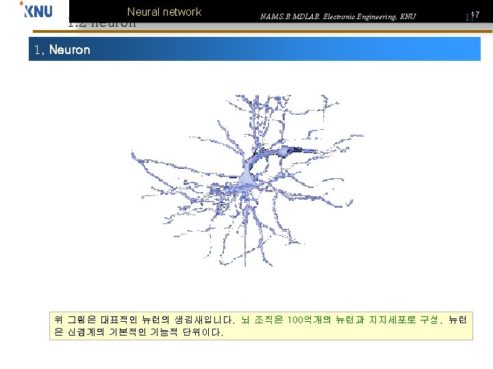 Neural network 1. 2 neuron NAM S. B MDLAB. Electronic Engineering, KNU 17 17